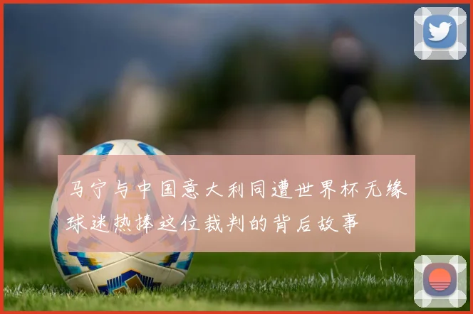 马宁与中国意大利同遭世界杯无缘球迷热捧这位裁判的背后故事